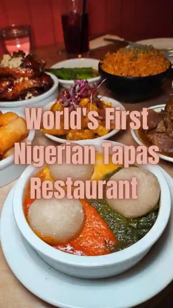 The video showcases "Chuku's", a Nigerian tapas restaurant in London. It features various dishes including fufu balls with different sauces, fried plantains, chicken wings, and a unique cheesecake. The food is presented in small tapas-style portions. The video highlights the variety of vegan and meat options available. The main focus is on showcasing the food and creating excitement about trying Nigerian tapas.