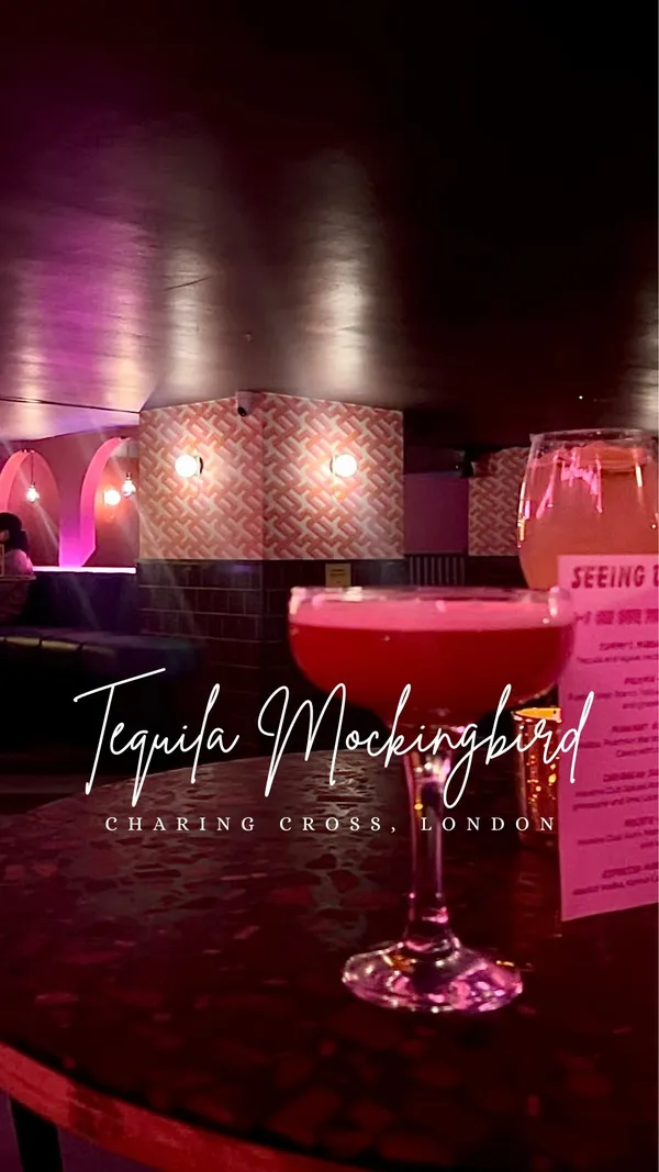 This video showcases Tequila Mockingbird, a bar in Charing Cross, London. Two cocktails are featured: a Lychee Fizz (non-alcoholic) and a Rhubarbie (alcoholic). The video highlights the bar's ambiance, including its decor and lighting. The primary focus is on the cocktails and the social aspect of enjoying drinks at the bar.