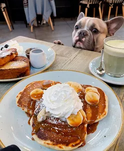 Fluffy pancakes and crispy French toast at pet-friendly Little Hudson Cafe, London. Dogs welcome with water bowls.
