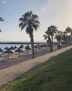 Tropical beach scene in Spain with ocean waves, palm trees, coconuts, and vibrant flowers.