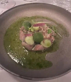 Gourmet dinner at Wolf Atelier in Amsterdam, featuring elite dishes with celeriac and onions, enjoyed despite rainy weather.