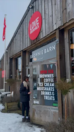 Warm lunch at The Brownie Barn, Howgill: creamy mushrooms on toast, gooey brownies, with Yorkshire countryside views.