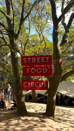 Delicious street food at Forest Feastival in Candleston Woods, featuring circus acts and fire pits.