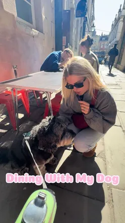 A dog sits outside at Eat Chu in St Nicks, enjoying gyoza and a sunny meal with its owner.