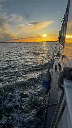 Family enjoying a Coastal Cruises Fish & Chip tour with stunning views of Poole Harbour in spring.