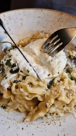 Delicious burrata cheese with a cheesy pull, served with truffle pasta at Zizzi in Salisbury.