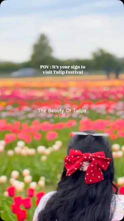 Colorful tulip fields at Farmer Copleys Tulip Festival, with creamy gelato and pistachio waffles in the foreground.