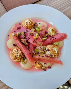 Sunny afternoon at Cor Restaurant in Bristol, enjoying rhubarb pudding and wine with Hannah Wynter, perfect for people and dog watching.