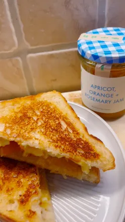 Gourmet grilled cheese with brie, apricot, orange, rosemary preserve on sourdough, toasted golden, perfect for foodies.