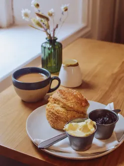 Brodies Coffee in Bute Park, Cardiff, offers homemade cakes, brunch, and cream tea with fluffy scones, clotted cream, and jam.