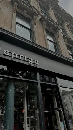 Delicious lunch at Sprigg in Glasgow, featuring fresh salads and vibrant dishes.