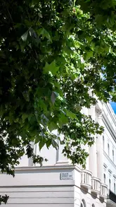 Luxury suite at COMO The Halkin with elegant decor, butler service, and access to a private garden in Belgravia.