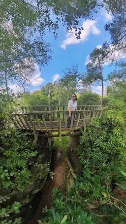 High Rocks National Monument in Tunbridge Wells, Kent: explore cliffs, caves, and trails just an hour from London.