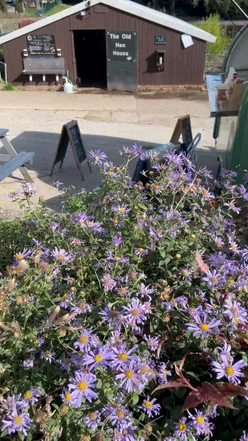 Group enjoying a meal at The Barn Cafe in Whirlow, Sheffield after winning a giveaway. Great food and vibes!