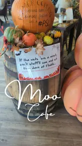 Couple enjoying coffee at Moo Cafe, Farmer Copleys, exploring autumn goodies in Pontefract.