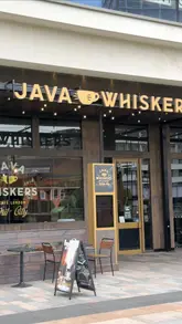 Guests enjoying food and beverages in a cozy cat lounge at Java Whiskers Cat Café, surrounded by playful cats.