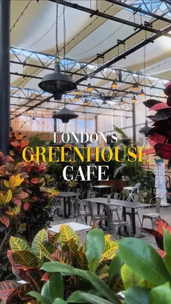 Florescenza Greenhouse Café in Brent Cross, a serene spot with artisan coffee and lush tropical plants.