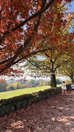 London weekend wander: hidden cafés in Marylebone, autumnal Primrose Hill, It's Bagels, Pivot Covent Garden, Richmond