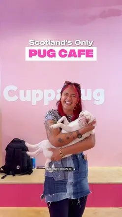 Guests enjoying time with playful pugs at CuppaPug, Scotland’s only pug cafe in Edinburgh.