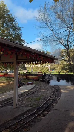 Family enjoying a fun day at an alpaca farm in Essex, feeding the friendly animals together.