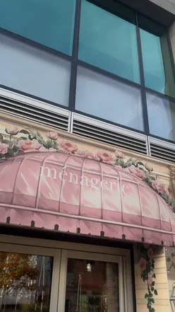 Friends enjoying cocktails and vibrant dishes at Menagerie restaurant in Manchester, perfect for a girls' night out.