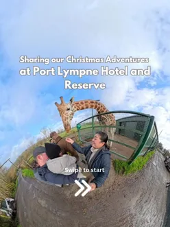 Enchanting light trail at Port Lympne Reserve, perfect for family getaways and unique overnight stays.