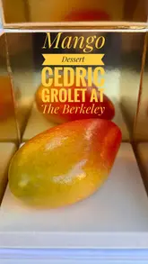 The creator visits Cedric Grolet at The Berkeley to review their vegan mango dessert. The video features the creator's first impressions, a taste test, and a brief look at the venue's interior, including the unique toilet facilities.