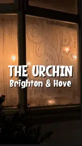 A short, atmospheric video showcasing the food and drink at The Urchin pub in Hove. The video features close-up shots of shellfish dishes, a pint of beer, and the pub's exterior at night, set to music with text overlays identifying the venue.
