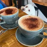 A close-up shot of two cappuccinos served in textured grey mugs on a wooden table, with a small white dog visible in the blurred background.