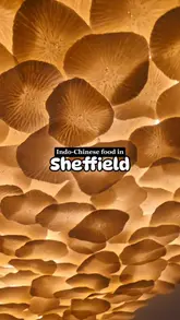 A promotional reel for Mezwaani, a new Indo-Chinese restaurant in Sheffield. The video features a tour of the modern, stylish interior, shots of the bar and staff, and a wide variety of dishes including appetizers, mains, and desserts. The editing is rhythmic and engaging, with text overlays providing context.