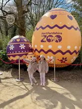 A bright, outdoor photograph of two young children posing in front of large, decorative inflatable Easter eggs at Hertfordshire Zoo. The image captures a family-friendly day out, with the children smiling and dressed in matching outfits, set against a backdrop of trees and the zoo's seasonal decorations.