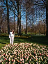 Sunny European spring/summer scene with vibrant flowers, charming outdoor cafes, and picturesque coastal views.