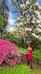 A montage video showcasing the Savill Garden in Windsor Great Park, followed by a brief look at the on-site restaurant, Savill Garden Kitchen, featuring their seasonal menu.