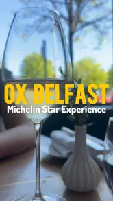 Here are a few options for your SEO alt text, depending on the focus of the photo:

**Option 1 (Focus on the food - Recommended):**
"A beautifully plated gourmet course served at the Michelin-starred OX restaurant in Belfast."

**Option 2 (Focus on the setting):**
"Modern, elegant interior of OX restaurant in Belfast during a three-course fine dining lunch experience."

**Option 3 (Focus on the brand/experience):**
"Exquisite fine dining meal at OX Belfast, a top-rated Michelin-starred restaurant in Northern Ireland."

**SEO Tip:** I recommend including the restaurant name ("OX Belfast") and the location ("Belfast") in your alt text, as these are the keywords people are most likely to search for.