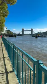 Here are a few options for your SEO alt text, depending on what the image shows:

**Option 1 (Focus on location):**
"Scenic view of the River Thames in London at sunset, capturing a nostalgic atmosphere."

**Option 2 (Focus on emotion):**
"A person looking out over the London skyline from the Thames, reflecting on travel memories."

**Option 3 (Descriptive & SEO-friendly):**
"Beautiful London cityscape overlooking the Thames, perfect for travel inspiration and reflection."

**Tips for your alt text:**
*   **Keep it descriptive:** Search engines can't "see" the photo, so describe what is actually in the frame.
*   **Include keywords:** Using "London" and "Thames" helps your post show up in relevant searches.
*   **Stay under 125 characters:** The versions above are all within the optimal limit for accessibility and SEO.