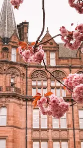 Here are a few options for your SEO alt text, depending on the specific visual:

**Option 1 (Focus on the city):**
A view of Edinburgh’s historic Old Town streets with blooming cherry blossoms and a glimpse of the castle.

**Option 2 (Descriptive & aspirational):**
Scenic view of Edinburgh, Scotland featuring cobbled streets, spring cherry blossoms, and a distant castle.

**Option 3 (Concise):**
Picturesque Edinburgh street scene with cherry blossom trees and historic architecture during spring.

**SEO Tip:** I recommend **Option 1 or 2** as they include the city name and key visual identifiers that Google uses for image indexing.