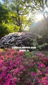 Here are a few options for your SEO alt text, depending on what you want to emphasize:

**Option 1 (Descriptive & SEO-focused):**
Vibrant pink azalea flowers in full bloom at Isabella Plantation, a hidden garden inside London’s Richmond Park.

**Option 2 (Action-oriented):**
A beautiful spring day at the Isabella Plantation in Richmond Park, London, featuring blooming pink azalea bushes.

**Option 3 (Concise):**
Stunning pink azalea flowers blooming in spring at the free Isabella Plantation garden in Richmond Park, London. 

**Pro-tip:** Option 1 is generally the best for SEO as it includes the location and the specific flower type clearly.