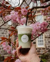 A high-quality, aesthetically pleasing shot of an iced matcha latte held in front of a cherry blossom tree, used to promote a local cafe in Aberdeen.