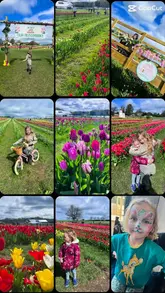 A family-focused montage showcasing a visit to a tulip field and a soft play area, highlighting the outdoor activities and family-friendly atmosphere.