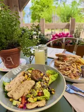 A bright, natural-light shot of a lunch spread at a forest cafe, featuring a burrito bowl and a toasted sandwich with sides, set on an outdoor terrace.