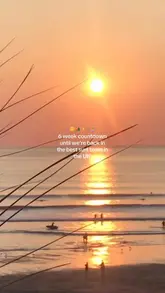 A montage video showcasing a trip to Croyde, featuring beach scenery, surfboards, coffee, and fresh food bowls at a local cafe.