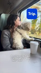 AD.POV:  Stop overpaying for train tickets 🚆✨

Travelling around the UK with my pup 🐶 has become SO much easier since I started using 
@trip.com_train 

✔️ Finds Split Ticket savings automatically 
✔️ Extra savings with Railcards automatically 
✔️ You can unlock amazing savings on train journeys by using our promo code #UKRC4 & with discounts like 5% off UK & EU train tickets, and 20% off Railcards.
✔️ Perfect for weekend adventures & work trips

Honestly one of the easiest ways I’ve found to save money while travelling around the UK.

📱 Make sure to download Trip.com and use my code【#UKRCA4】to claim your coupon —don’t miss out!

#tripcom #travelwithtrip #travel promocodes uktraindeals