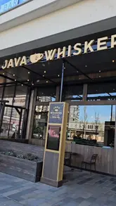 A walkthrough of Java Whiskers, a cat cafe in London, showcasing the interior, the cat interaction areas, and the cafe's drink offerings.