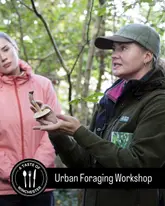A promotional image for an urban foraging workshop in Winchester, featuring a guide holding a mushroom while explaining it to a participant in a woodland setting.