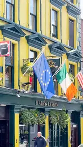 A montage-style video showcasing the interior and breakfast menu of The Hairy Lemon in Dublin. The video features shots of the pub's exterior, cozy interior, and various breakfast dishes including a full Irish breakfast, French toast, and Eggs Benedict, set to music with text overlays.