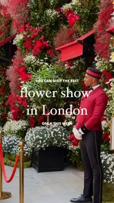 Planning to visit the RHS Chelsea Flower Show this week? Read this first! 📌 (SAVE for later)

👟 Comfort is Queen: You will walk at least 10k+ steps. Forget the heels, wear your most aesthetic sneakers!

💧 Hydration Stations: There are water refill points around the show ground—bring your reusable bottle.

📸 Best Photo Light: Golden hour (after 5 PM) is magic, but early morning (8 AM) is best for empty streets in Chelsea.

🛍️ The Plant Sell-Off: Did you know? On the last day (Saturday), there’s a famous plant sell-off at 4 PM. 

This is your chance to grab a piece of the show!

Who are you heading to Chelsea with? Tag your flower-loving bestie! 🌸

#ad 

#RHSChelsea #ChelseaFlowerShowTips #LondonEvents #LondonLifestyle LondonLife VisitEngland GardenInspiration TravelHacks Chelsea2026