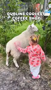 A short, casual reel showcasing Goughie's Coffee in Dublin, highlighting the unique experience of interacting with farm animals like sheep, a horse, and chickens while enjoying a coffee.