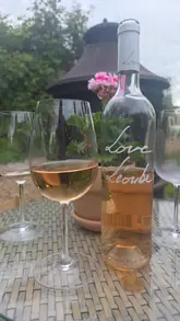 A montage showcasing a summer event at a riverside venue, featuring rosé wine, canapés, and a large grazing board in a beautifully decorated garden setting.