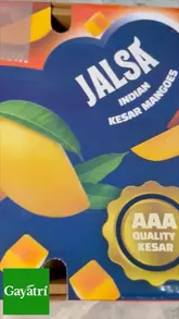 A promotional video featuring a creator unboxing a grocery delivery from Gayatri Stores, focusing on the quality of their fresh mangoes and other Indian grocery items.