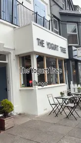 Here are a few options for your alt text, depending on what is most visible in your photo:

**Option 1 (Focus on the people and location):**
Two friends enjoying coffee and yogurt at The Yogurt Tree cafe in Northern Ireland.

**Option 2 (Descriptive and natural):**
Estelle and a friend smiling while eating yogurt and drinking coffee at The Yogurt Tree.

**Option 3 (SEO-focused):**
A customer enjoying coffee and a yogurt bowl at The Yogurt Tree cafe in Northern Ireland.

**Tip:** Since you are using hashtags like #nicafe and #nifoodie, including "Northern Ireland" or "cafe" in your alt text helps search engines categorize your post for local foodies!
